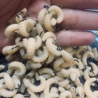 ISCA ARTIFICIAL PARA PESCA BICHO DA LARANJA MARFIM COM ANZOL PARA TILÁPIA em Oferta na Shopee