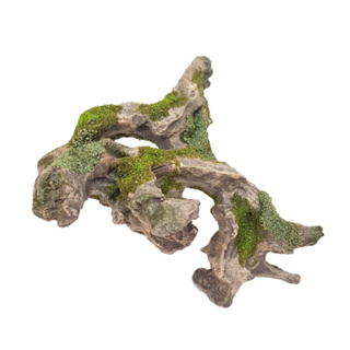 Enfeite Para Aquário - Raiz C/ Musgo em Oferta na Shopee
