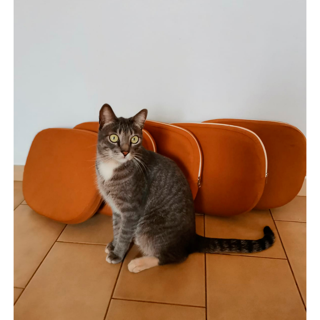 Imagem Zafu Almofada Meditação Espuma Injetada Revestida Sarja P 37x31x7cm Santo Ócio Yoga Zazen