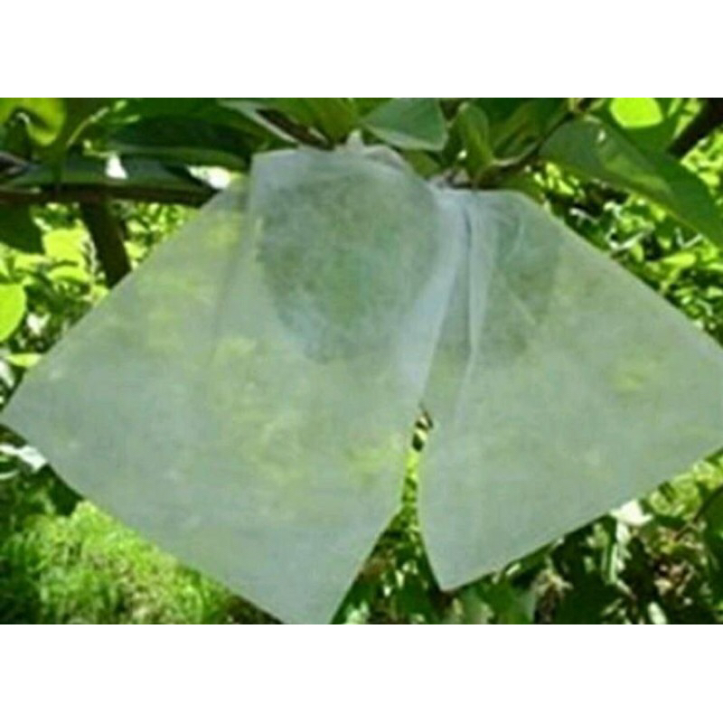 100 saquinhos proteção de fruta 20x25