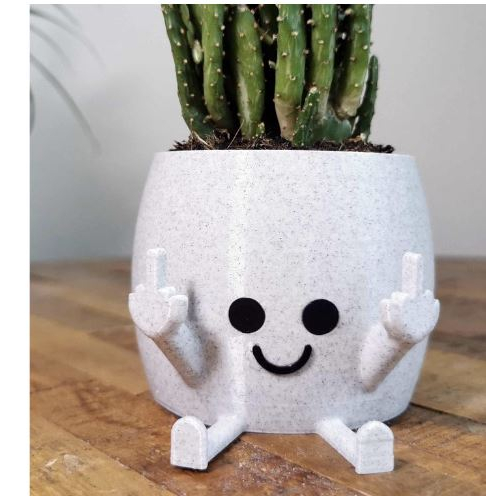 Vaso Suculentas Dedo do Meio em Oferta na Shopee