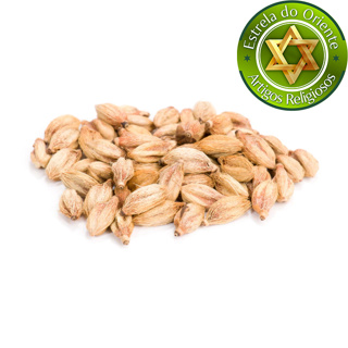 Kit 3 Unid Fava Chama Dinheiro em Oferta na Shopee