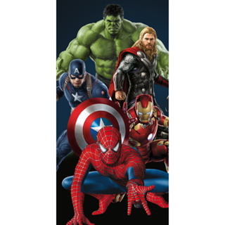 Painel Lateral Tecido Sublimado 2,20x1,50 Vingadores em Oferta na Shopee