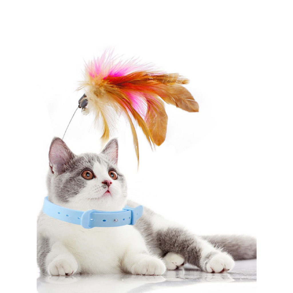 Brinquedo COLEIRA Colar Gato Interativo Com PENA Sino Guizo Pet Animais Estimação Brincadeira
