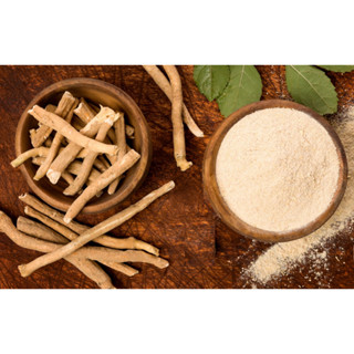 ASHWAGANDHA - Ginseng Indiano em pó(este valor corresponde a 80g)