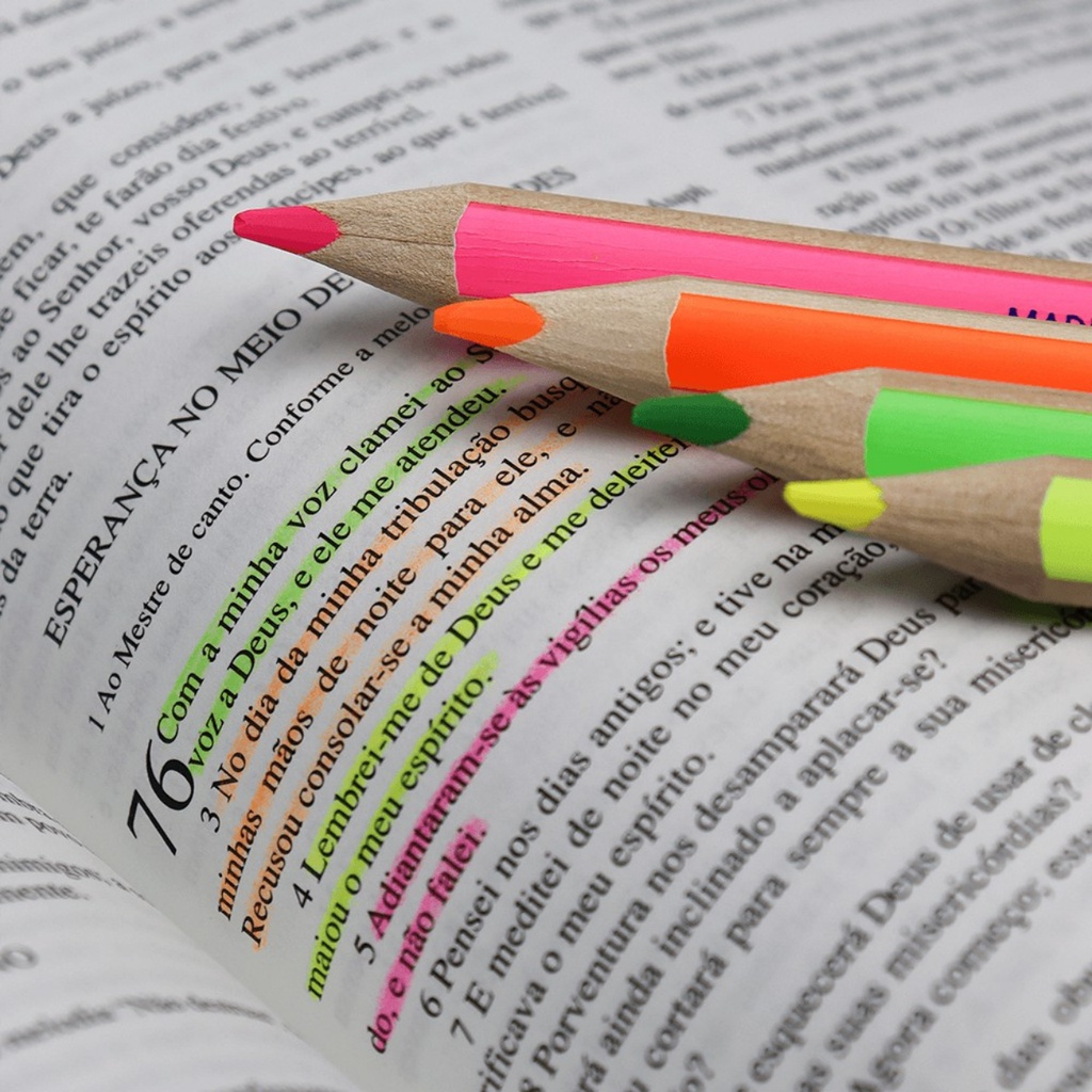 Lápis Marcador Staedtler Textsurfer Dry Neon - unidade