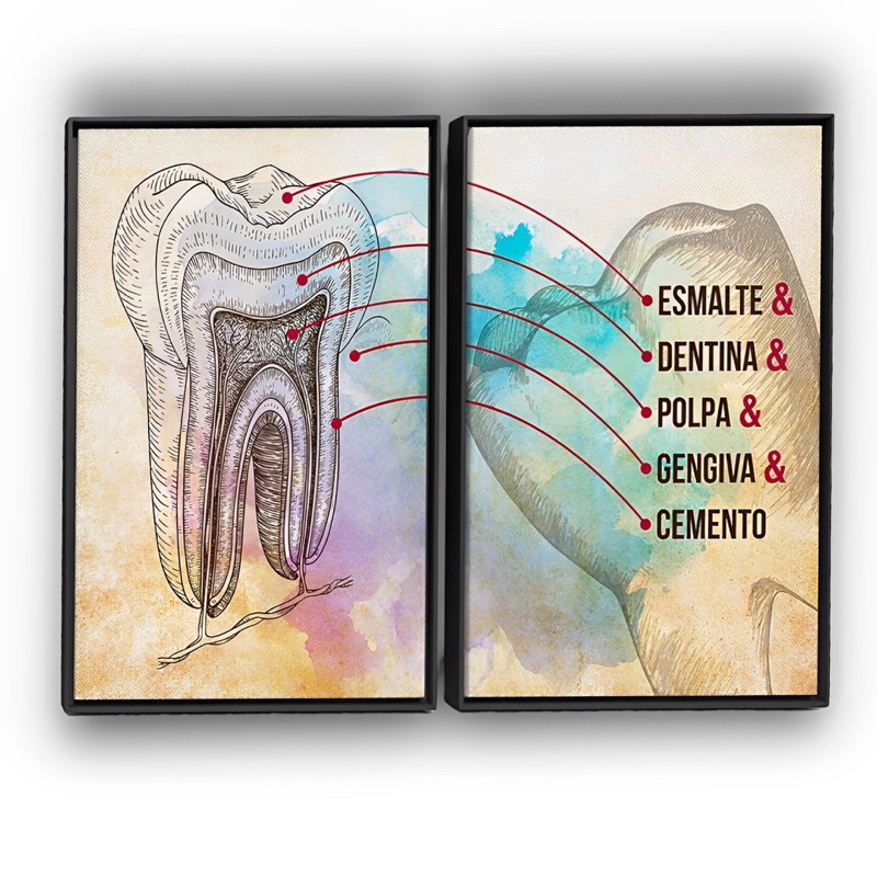 Quadro decorativo dentista 2 peças consultório odontologia