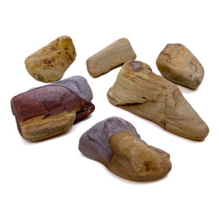 Pedra de seixo tropical nº 03 (Unit.) para Jardinagem Roedores Hamster Terrários em Oferta na Shopee