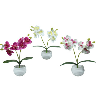 plantas artificial decoração vaso de flores artificiais para decoração orquidea artificialkit com dois (mini )vaso com orquídea artificiais altura 20cm!! vasos com plantas artificial decoração