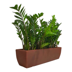 Jardineira Floreira para Plantas 60cm Grande Textura Polietileno Canteiro Jardim Vertical