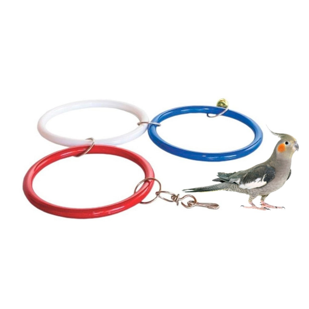 Brinquedos para Periquito Australiano: Onde Comprar | BuscaProdutos