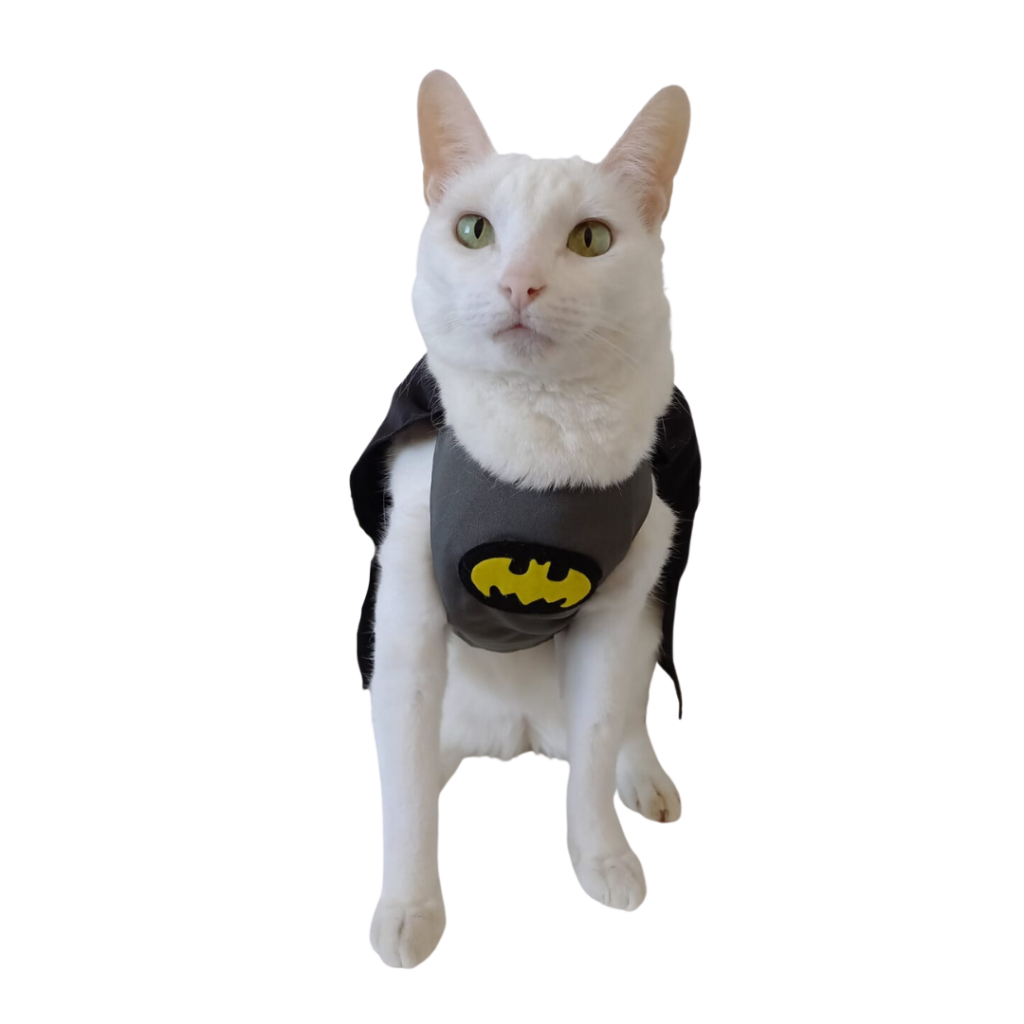 Roupa Pet Batman para Cachorros e Gatos Fantasia Super Herói