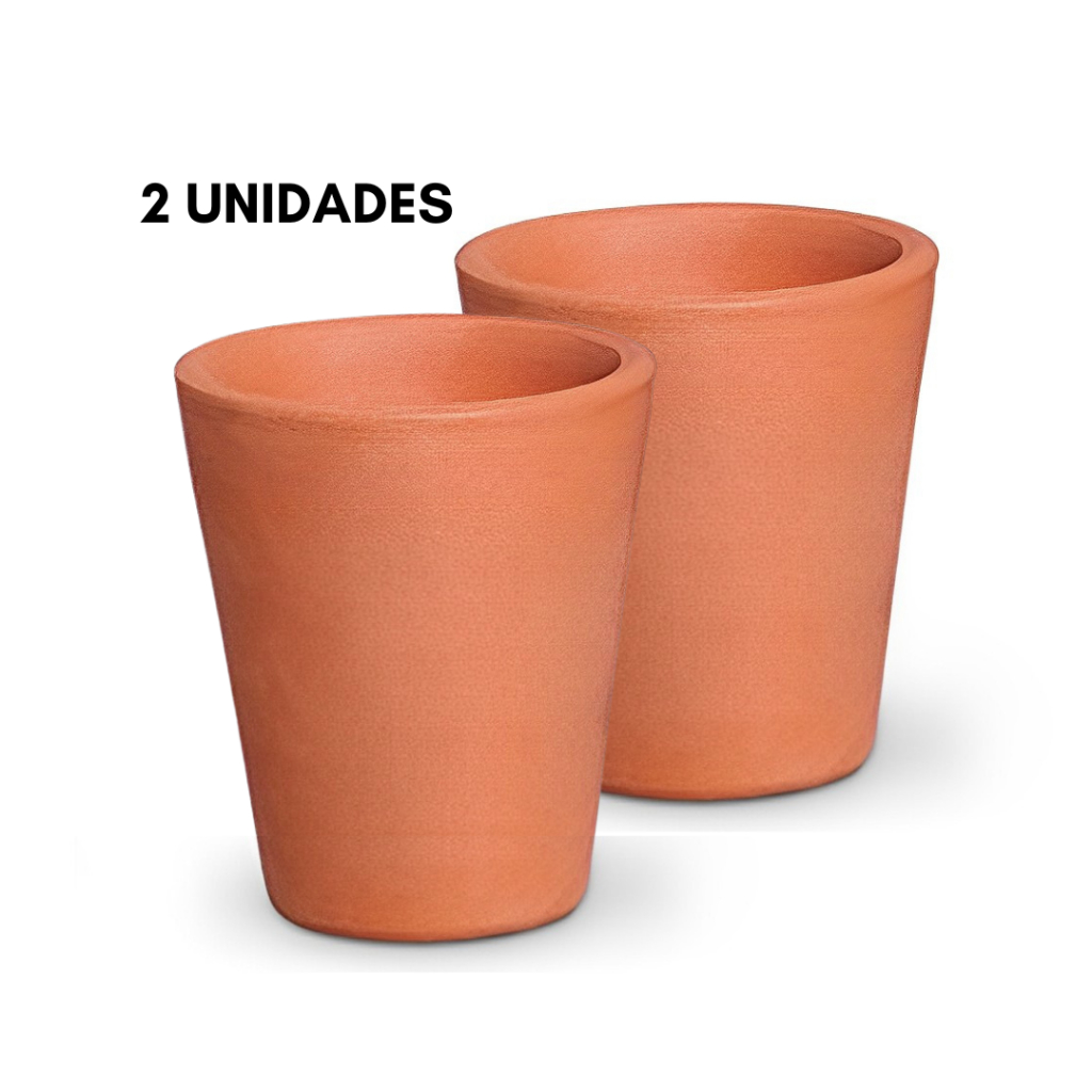 Moringa Barro: Guia Completo e Onde Comprar | BuscaProdutos