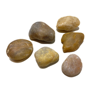 Pedra de Seixo Rio nº 03 (Unit.) para Jardinagem Roedores Hamster Terrários em Oferta na Shopee