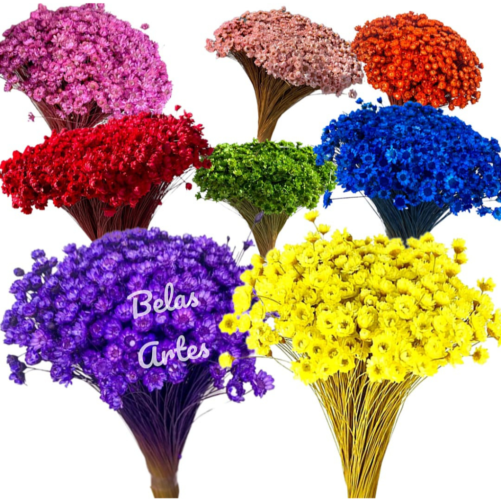 300 Sempre Viva Florzinhas Mosquitinho Buquê Flores em Oferta na Shopee