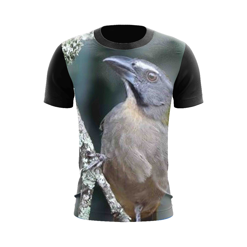 camisa camiseta de trinca ferro pixarro canto bom dia seu chico com ronco