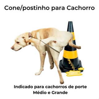 Cone Educador Sanitário Pet Xixi No Lugar Certo