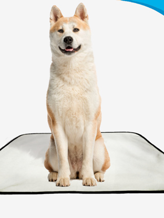 Tapete Higiênico Lavável, reutilizável, lavável, durável, Tapete de piso para cães, 1 unidade em Oferta na Shopee