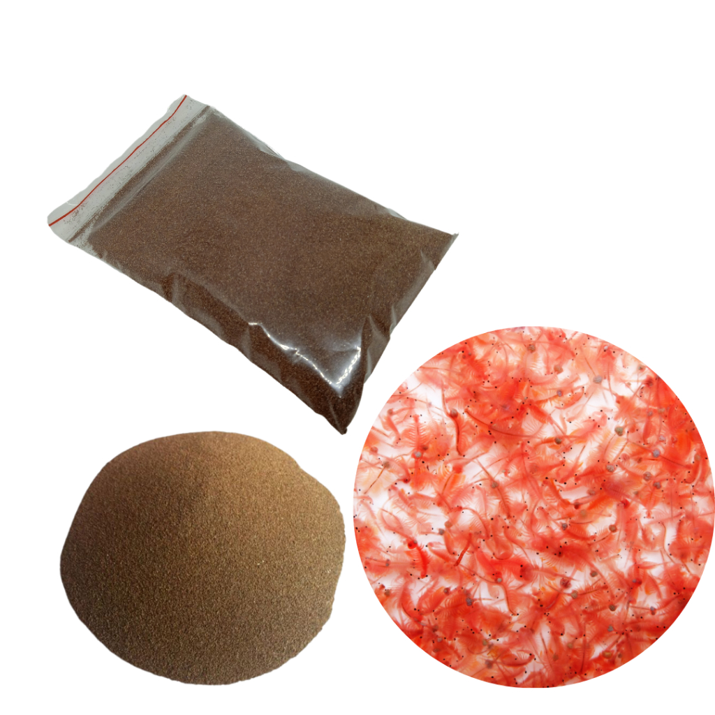 Super Kit para Reprodução de Artêmia Salina