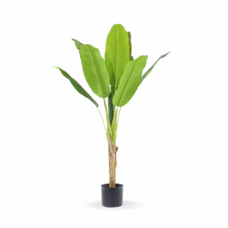 Bananeira Grande Real Toque em Oferta na Shopee