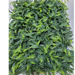 Placa de  Samambaia 20x30cm  Pequeno em Oferta na Shopee