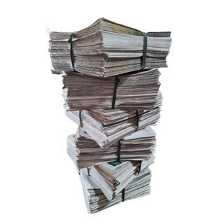 Jornal Pet 5KG 600 Folhas 58X32