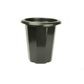 3 Vasos Potes Plásticos Cymbidium Para Orquideas 2 Litros Preto em Oferta na Shopee