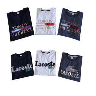 Camiseta masculina De Algodão Premiun Do P ao G1