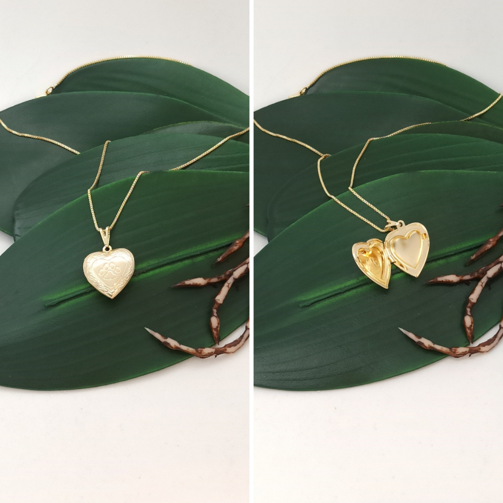 Colar Relicário de Coração e Cachorro Semi Joia Banhado Ouro 18k Presente PET Aniversario Mae Amiga
