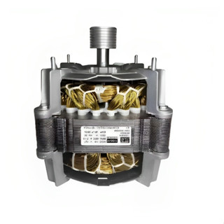 Motor Tanquinho Suggar Weg 13/16kg 220v Original
