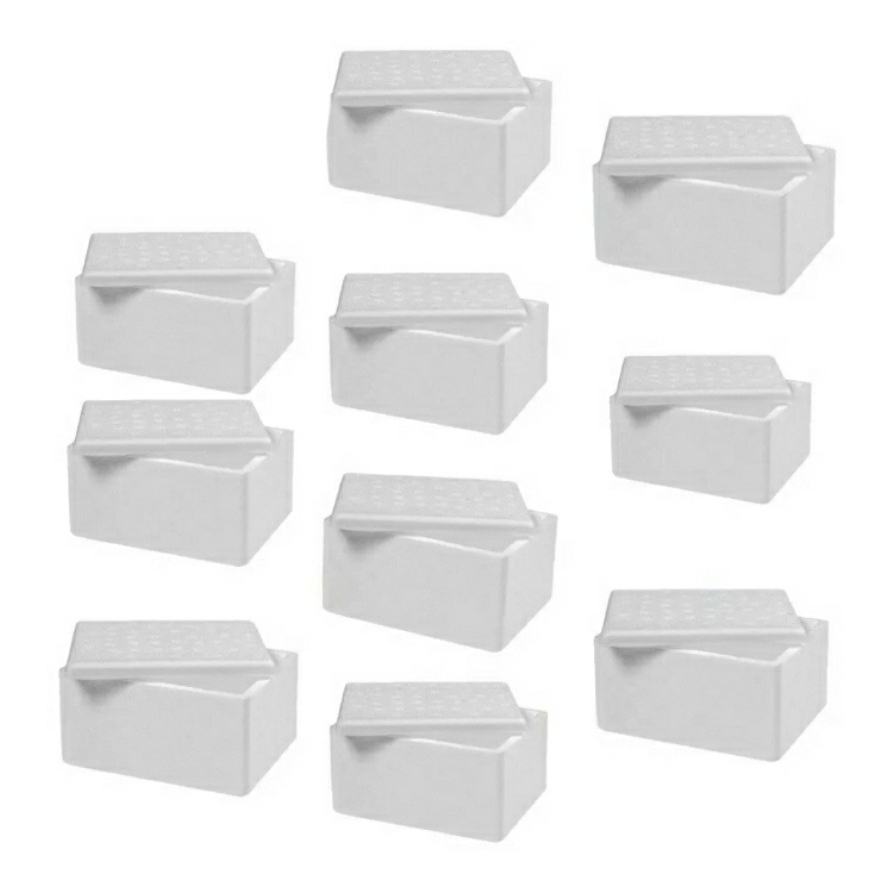 10un caixa de isopor 500ml pequena caixinha de isopor eps .