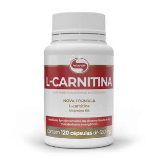 L-Carnitina (120Caps) 530mg - Vitafor - Pote