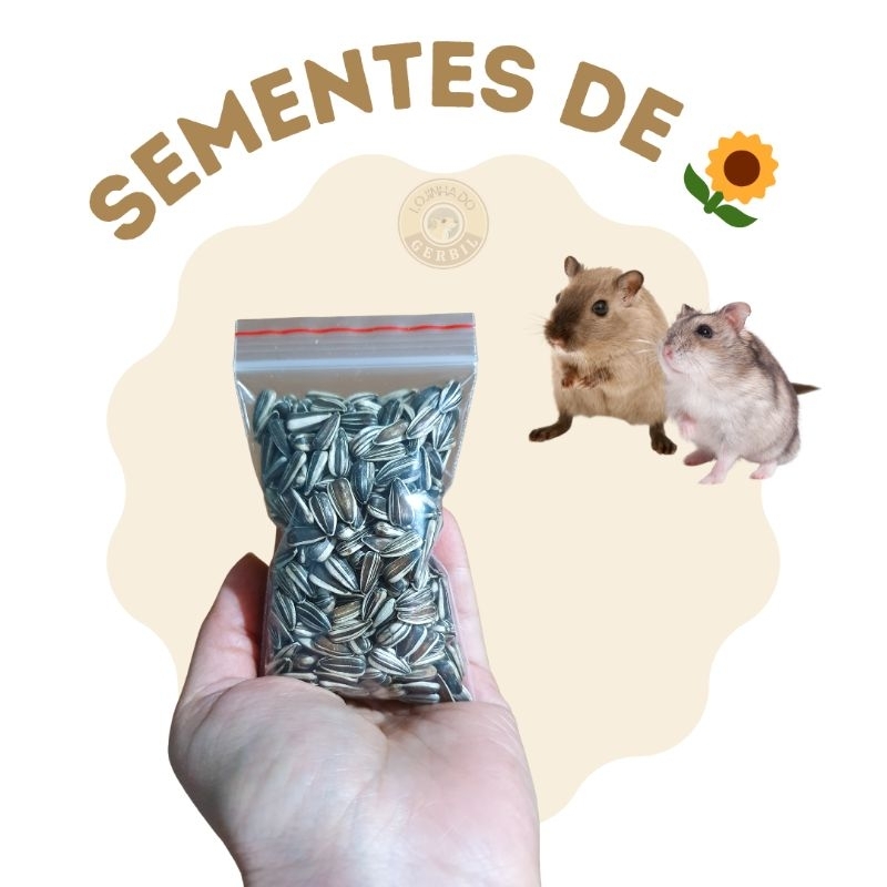 Sementes de Girassol para petisco de pequenos roedores em Oferta na Shopee