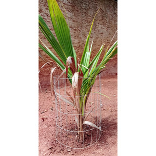 Cercado de proteção multiuso de tela soldada para fixar na terra - cerca cerquinha