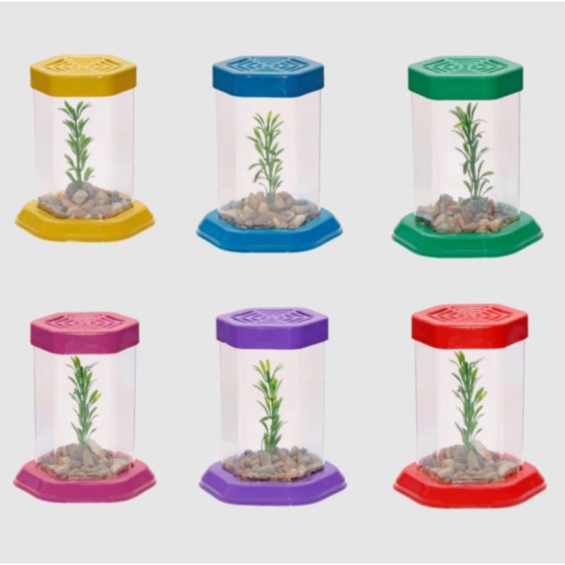 Aquario Para Peixe Betta C/ Tampa Acrilico Beteira Kit com 07 Peças - Lembrança Presente de Aniversário