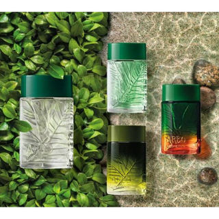 perfume boticario arbo perfume masculino intenso colonia100ml