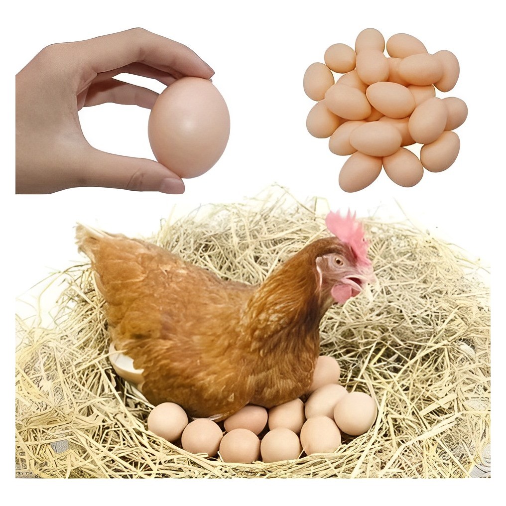 Kit 12 Ovos Falsos De Plástico Para Indez Galinha Caipira