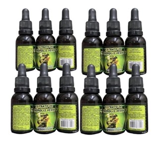 Kit 12 Extrato De Própolis Verde - 30ML