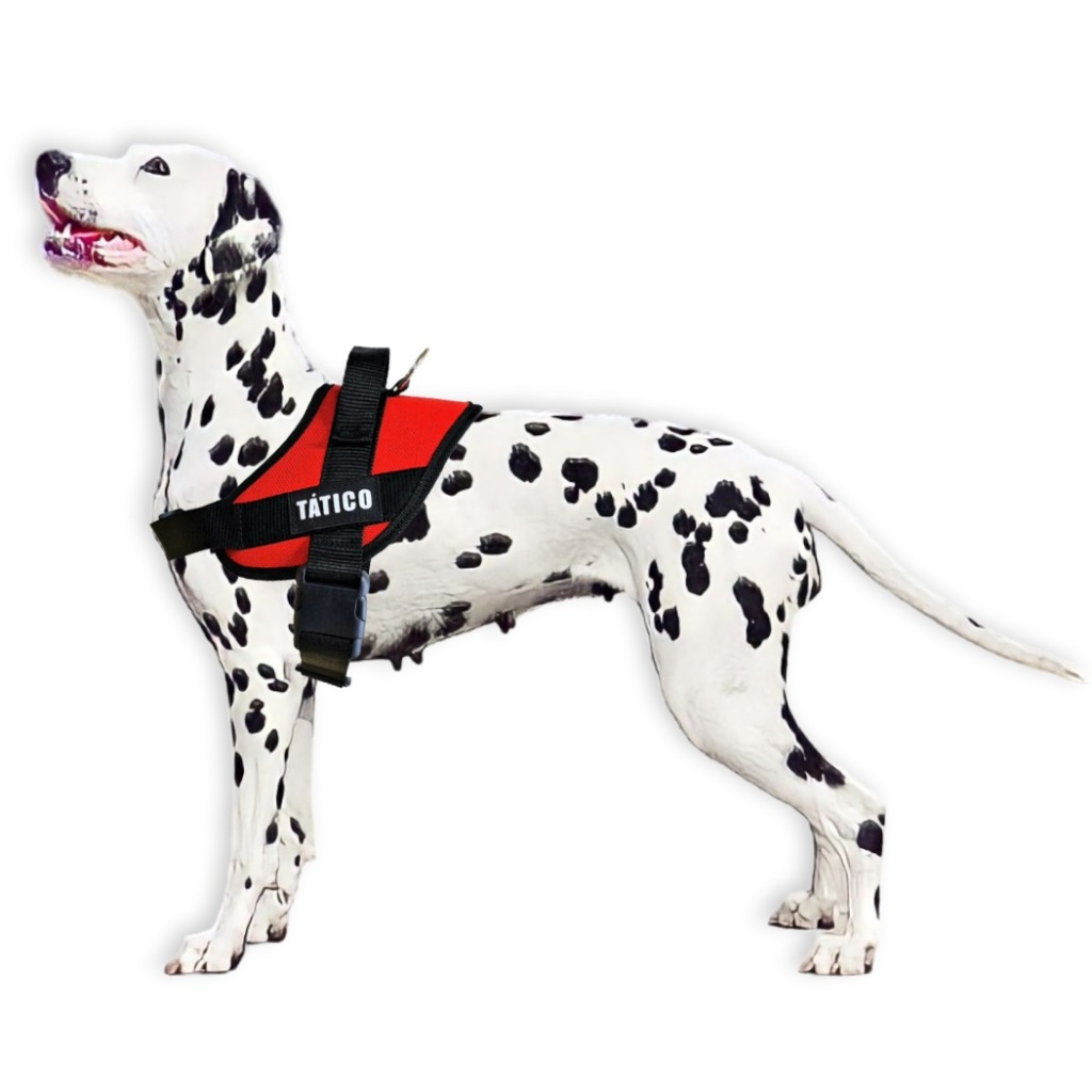 Peitoral Coleira Tático Porte Grande Reforçado Premium S/Guia  Pastor Alemão Golden Border Collie