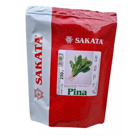 Semente De Espinafre Japonês Híbrida Pina 250 g Sakata Sementes