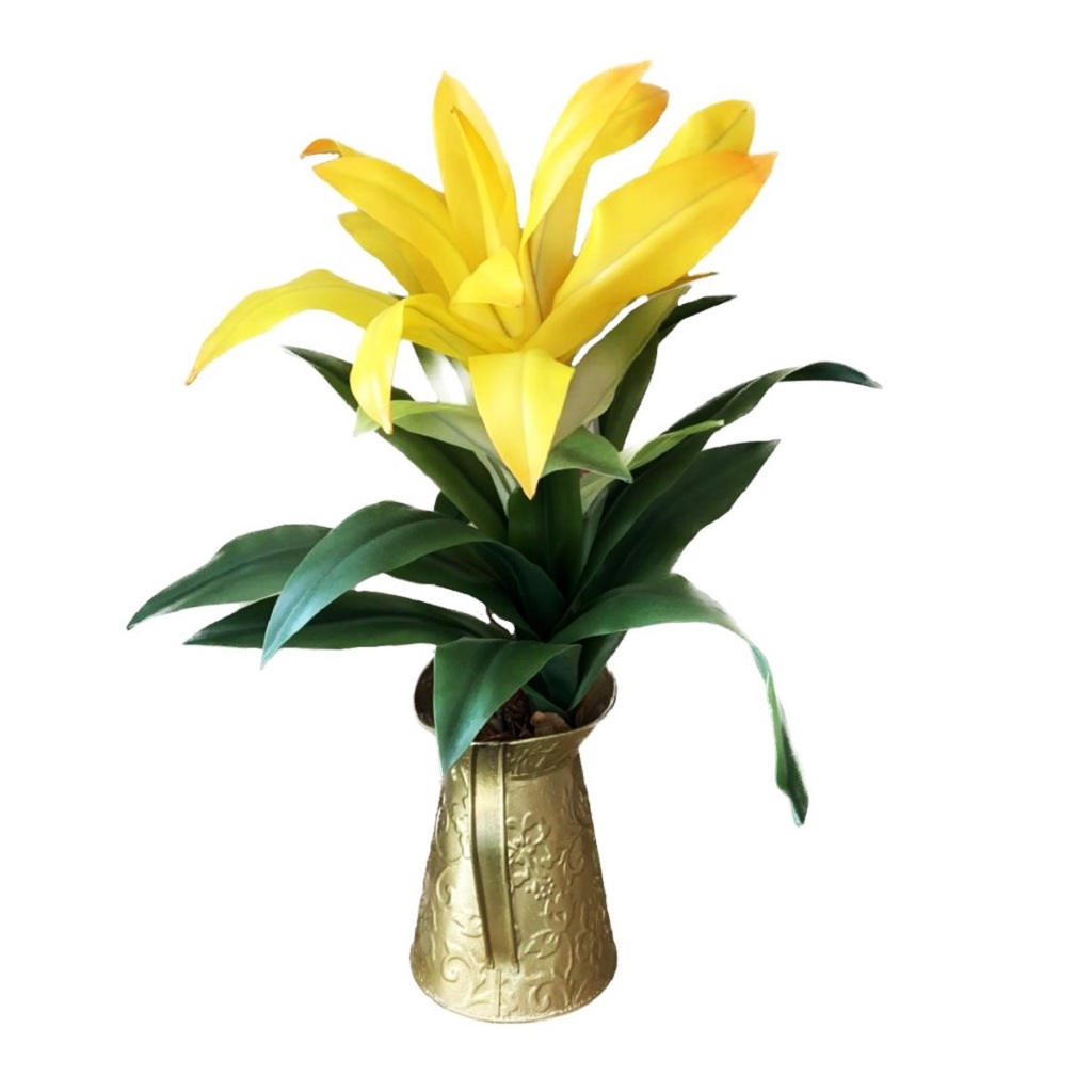 Bromelias Vermelhas: Onde Comprar | BuscaProdutos