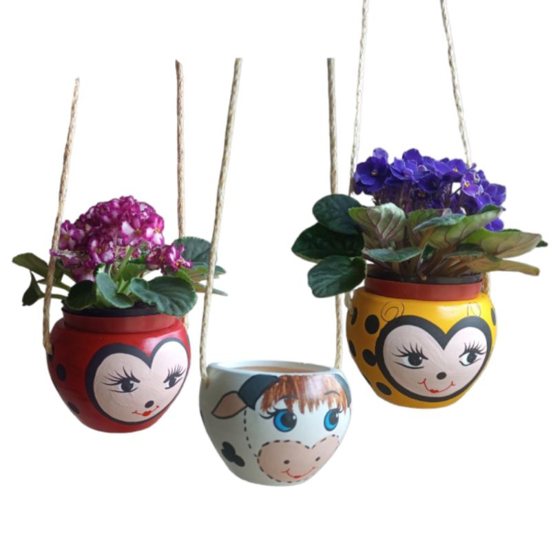 O que é Suculentas em Vasinhos Pequenos? Guia e Onde Comprar | BuscaProdutos