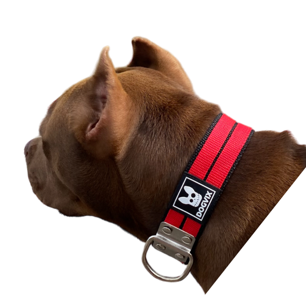 Coleira Dupla Nylon Para Cachorro Colar Pet Pitbull Raça Media e Grande Dogvix