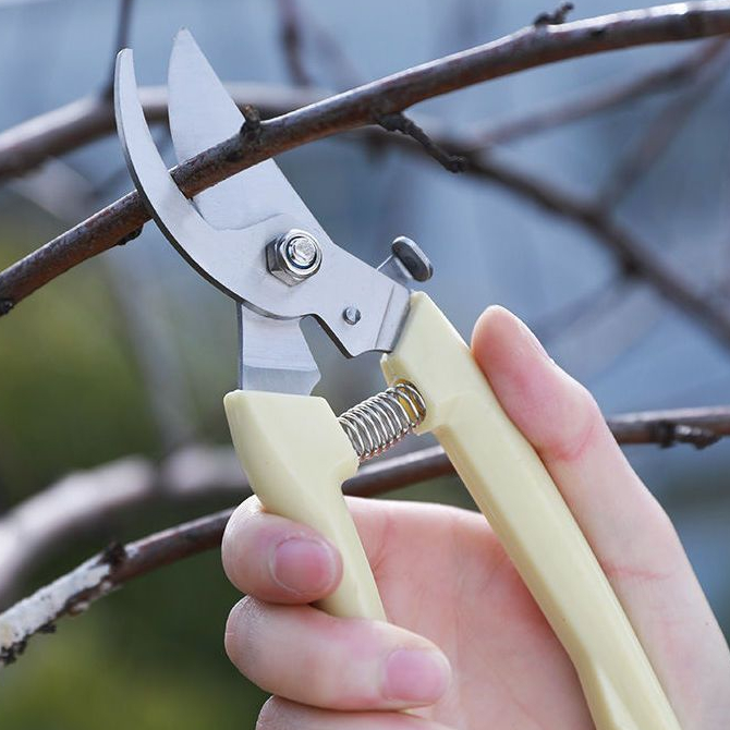 Alicate de Jardim - Comprar com Melhor Preço em Ferramentas e Melhorias para a Casa