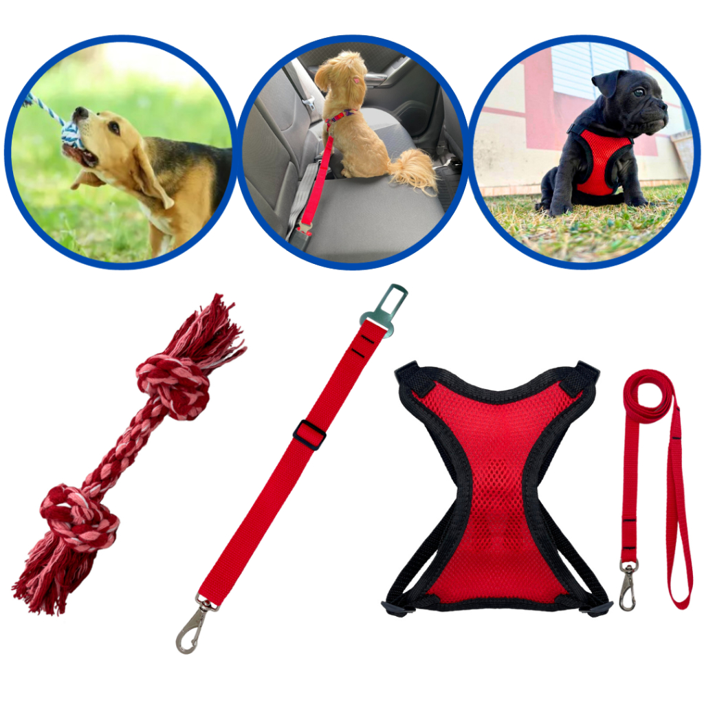 Kit coleira peitoral colete +  cinto de segurança pet + osso mordedor limpeza bucal cães e gatos em Oferta na Shopee