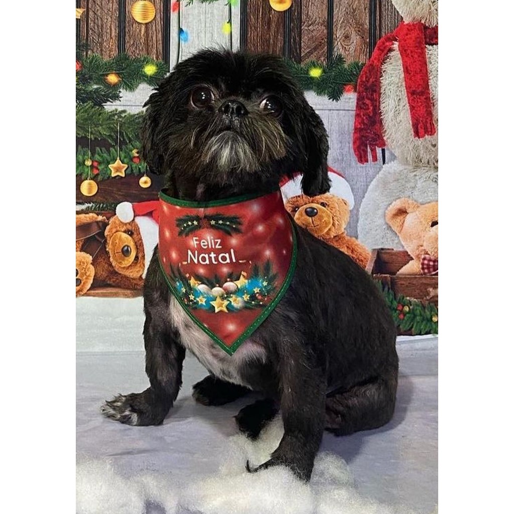100 Bandanas Tamanho P Com Viés de Natal Estampas Variadas Pet Shop