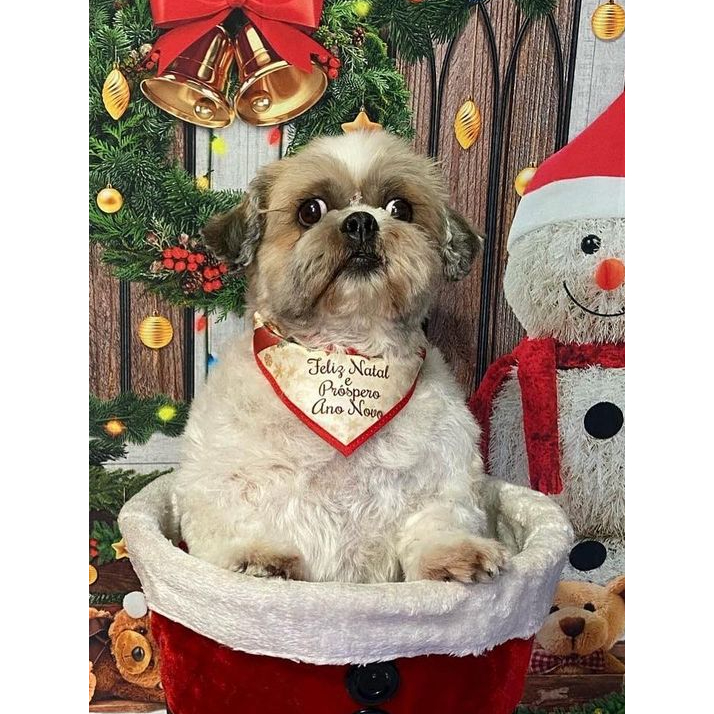 50 Bandanas Tamanho M Com Viés de Natal Estampas Variadas Pet Shop Cachorro