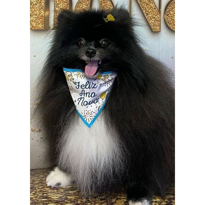 50 Bandanas P M G, 15 P, 25 M, 10 G, Com Viés Ano Novo Estampas Variadas Pet Shop