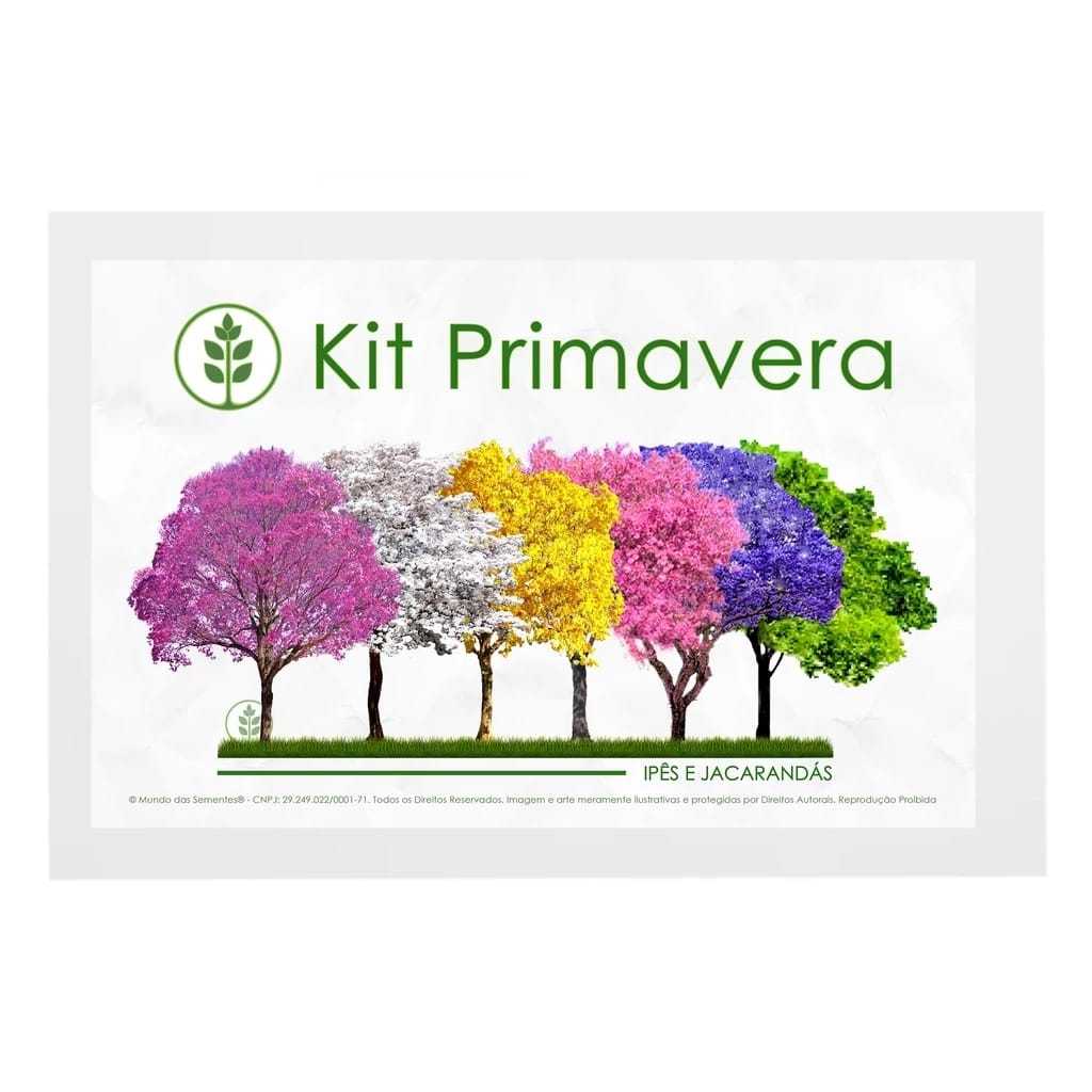 Kit Primavera 300 Sementes Ipê e Jacarandá |Amarelo Azul Branco Rosa Roxo Verde | Mundo Das Sementes