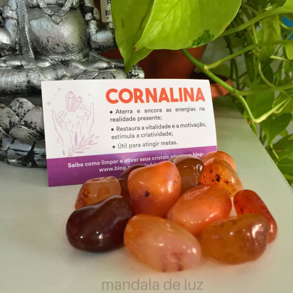 Kit de Pedra Cornalina Natural Cristais Pedras Naturais 100g - M